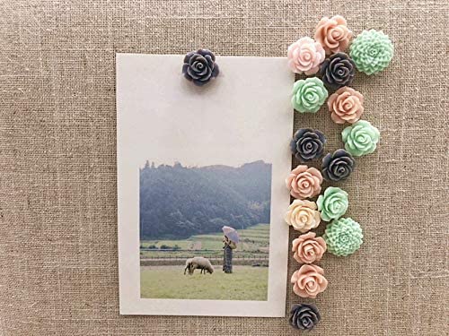 Temoyj 24Pcs Decorative Pushpins,Cork Board Tacks,Bulletin Board Tacks,Thumb Tack Decorative for CorkBoard, Office Organization or Home - Image 5